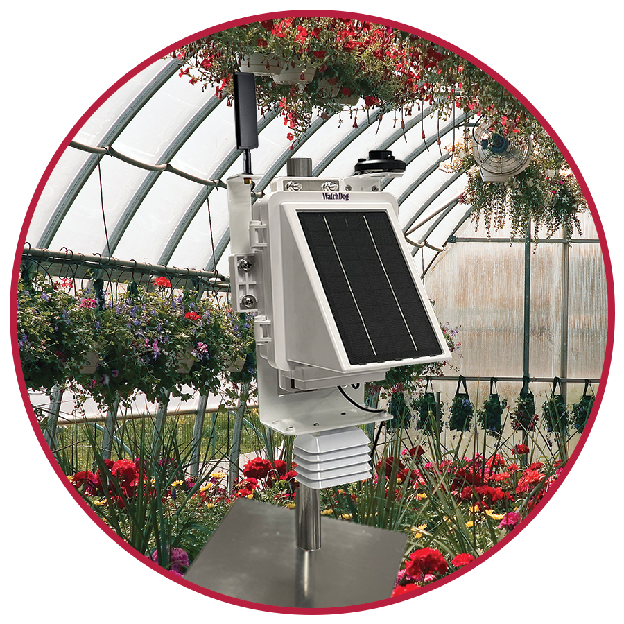 Wireless plant light hotsell